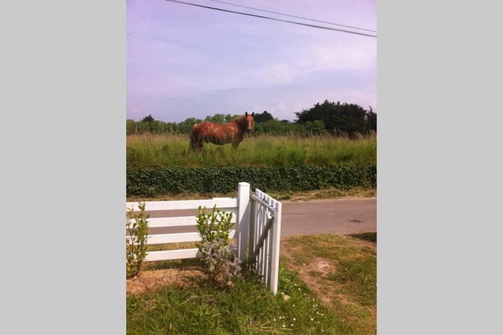 Detached House Near Beaches Esquibien 外观 照片